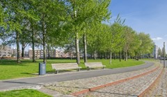 Foto 38.jpg